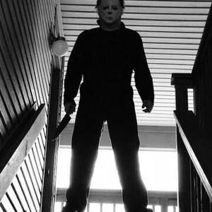 Meet your Posher, Darren